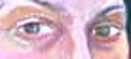 Detail from Opaque vs. Transparent